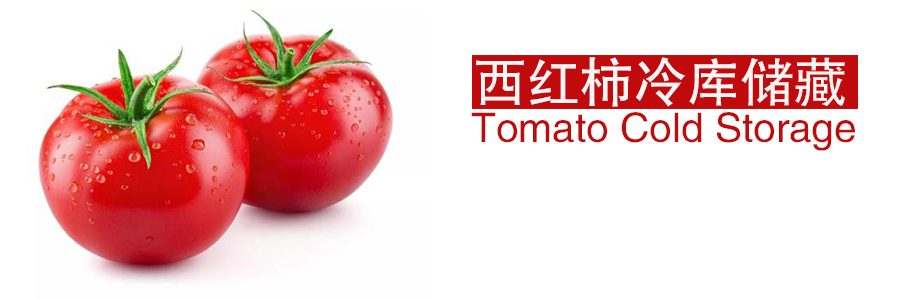 西红柿冷库储藏方法是什么？